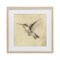 Stupell Industries Vintage Hummingbird Sketch Framed Print Under Glass, design by Petal Prints Design